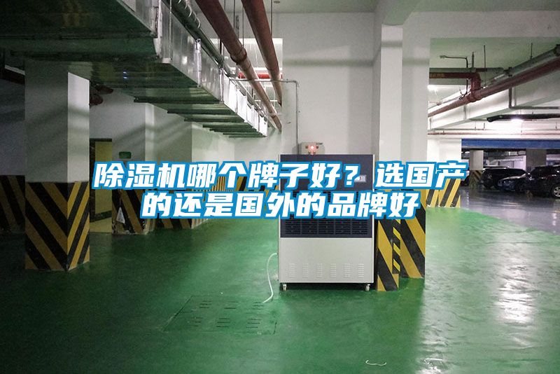 除濕機哪個牌子好?選國產的還是國外的品牌好