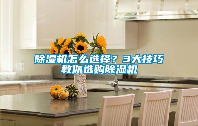 除濕機(jī)怎么選擇？3大技巧教你選購(gòu)除濕機(jī)
