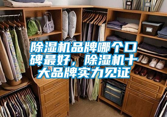 除濕機品牌哪個口碑最好,除濕機十大品牌實力見證