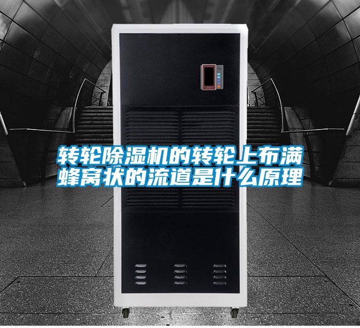 轉(zhuǎn)輪除濕機(jī)的轉(zhuǎn)輪上布滿(mǎn)蜂窩狀的流道是什么原理