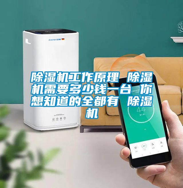 除濕機(jī)工作原理 除濕機(jī)需要多少錢(qián)一臺(tái) 你想知道的全都有 除濕機(jī)