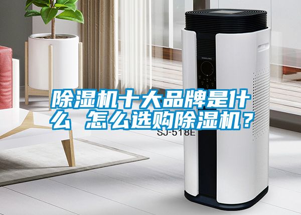 除濕機(jī)十大品牌是什么 怎么選購除濕機(jī)？