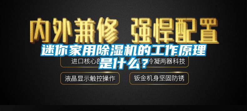 迷你家用除濕機的工作原理是什么?