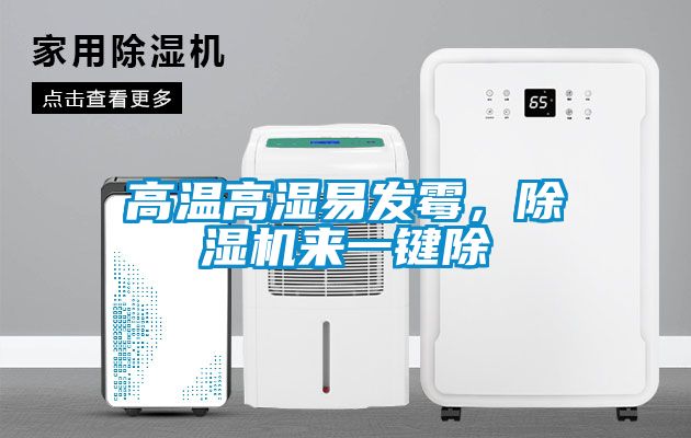 高溫高濕易發霉,除濕機來一鍵除