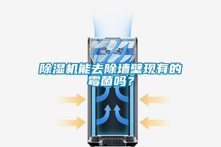 除濕機能去除墻壁現有的霉菌嗎？