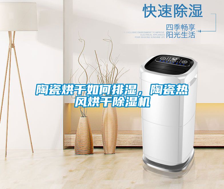 陶瓷烘干如何排濕,陶瓷熱風烘干除濕機