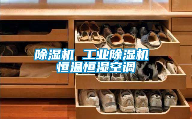 除濕機 工業(yè)除濕機 恒溫恒濕空調