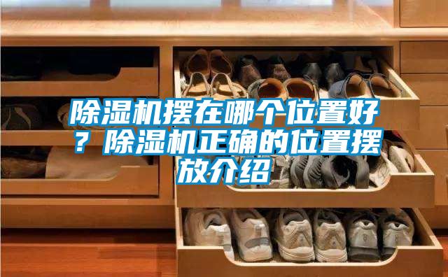 除濕機擺在哪個位置好？除濕機正確的位置擺放介紹