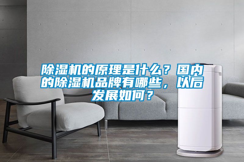 除濕機的原理是什么？國內(nèi)的除濕機品牌有哪些，以后發(fā)展如何？