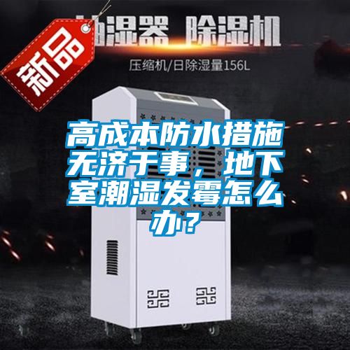 高成本防水措施無濟于事，地下室潮濕發霉怎么辦？