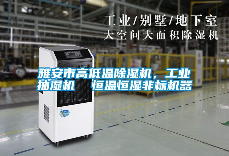 雅安市高低溫除濕機(jī),工業(yè)抽濕機(jī) 恒溫恒濕非標(biāo)機(jī)器
