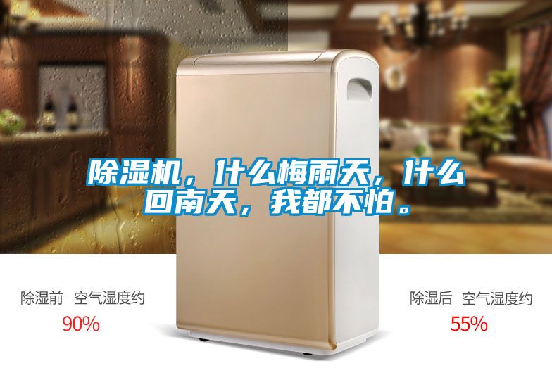 除濕機(jī),什么梅雨天,什么回南天,我都不怕。