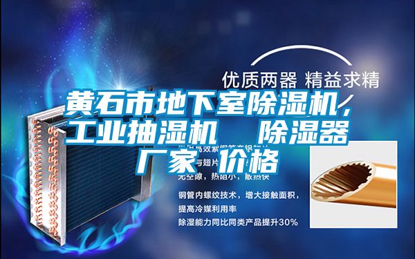 黃石市地下室除濕機(jī)，工業(yè)抽濕機(jī)  除濕器廠家 價(jià)格