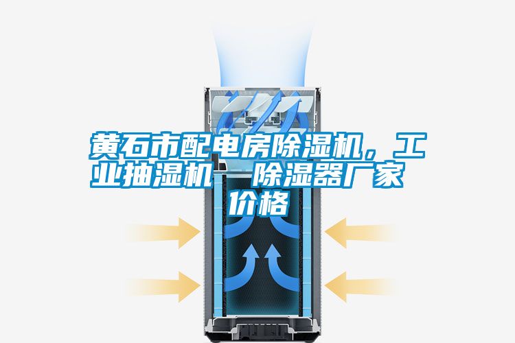 黃石市配電房除濕機，工業抽濕機  除濕器廠家 價格