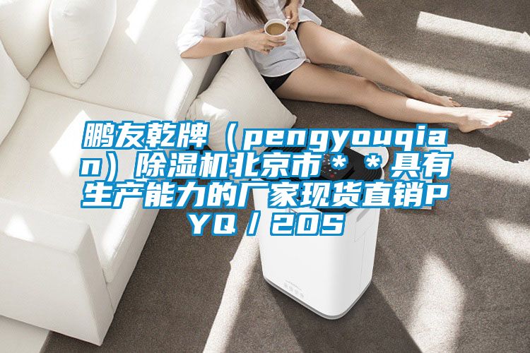 鵬友乾牌(pengyouqian)除濕機北京市**具有生產能力的廠家現貨直銷PYQ/20S