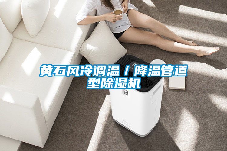 黃石風(fēng)冷調(diào)溫/降溫管道型除濕機